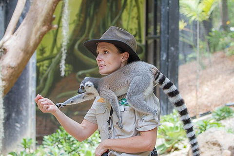 Currumbin Wildlife Sanctuary General Entry Ticket - Accommodation Guide 7