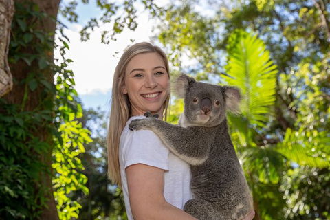 Currumbin Wildlife Sanctuary General Entry Ticket - Accommodation Guide 0