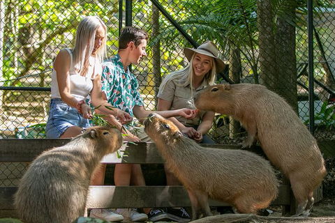 Currumbin Wildlife Sanctuary General Entry Ticket - Accommodation Guide 16