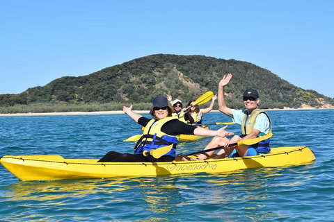 Kayak With Dolphins And 4WD Great Beach Drive Day Trip From Noosa - Accommodation Guide 6