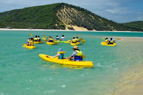 Kayak With Dolphins And 4WD Great Beach Drive Day Trip From Noosa - Accommodation Guide 8
