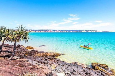 Kayak With Dolphins And 4WD Great Beach Drive Day Trip From Noosa - Accommodation Guide 3