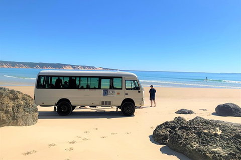 Kayak With Dolphins And 4WD Great Beach Drive Day Trip From Noosa - Accommodation Guide 17