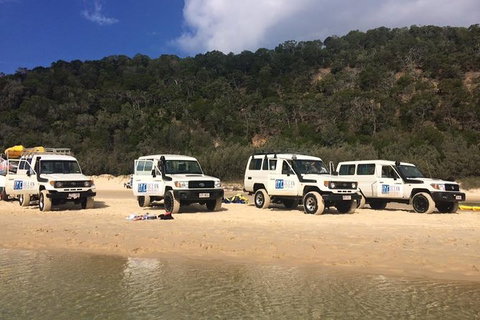 Kayak With Dolphins And 4WD Great Beach Drive Day Trip From Noosa - Accommodation Guide 9