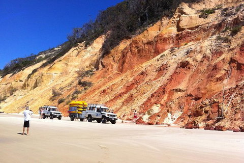 Kayak With Dolphins And 4WD Great Beach Drive Day Trip From Noosa - Accommodation Guide 12
