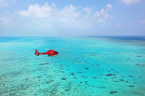 Ultimate Great Barrier Reef And Rainforest 45-minute Helicopter Tour - Accommodation Asia 4