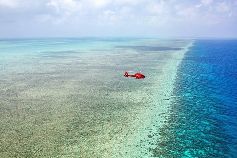 Ultimate Great Barrier Reef And Rainforest 45-minute Helicopter Tour - Accommodation Asia 5