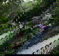 4-Day Cairns with Great Barrier Reef and Daintree Rainforest - Accommodation China