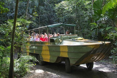 Kuranda Rainforest Station, Scenic Railway And Skyrail Tour - Accommodation Guide 1