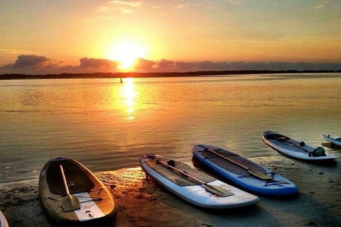 Golden Beach 1-Hour Stand-Up Paddleboard Hire On The Sunshine Coast - Accommodation Guide 4