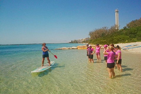 Golden Beach 1-Hour Stand-Up Paddleboard Hire On The Sunshine Coast - Accommodation Guide 0