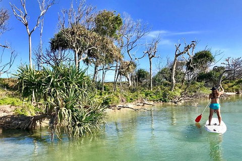 Golden Beach 1-Hour Stand-Up Paddleboard Hire On The Sunshine Coast - Accommodation Guide 2