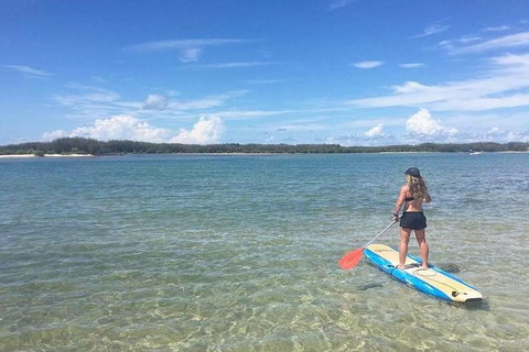 Golden Beach 1-Hour Stand-Up Paddleboard Hire On The Sunshine Coast - Accommodation Guide 1