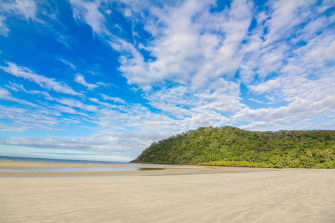 Daintree Afternoon Nocturnal Nature And Wildlife Tour - Accommodation Guide 8