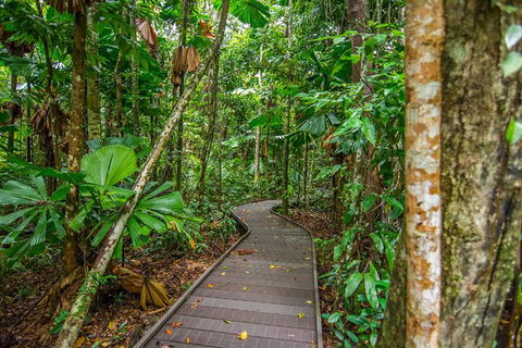 Daintree Afternoon Nocturnal Nature And Wildlife Tour - Accommodation Guide 9