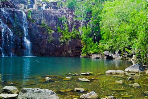 Reef, Wildlife & Rainforest - Reef & Beyond Guided Holidays - Accommodation Asia 0