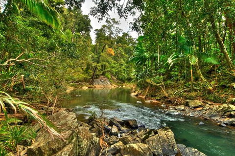 Reef, Wildlife & Rainforest - Reef & Beyond Guided Holidays - Accommodation Asia 3