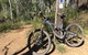 Gold Coast Mountain Bike Tour - thumb 1
