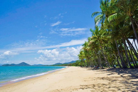 Airport Transfer - Cairns Airport To Palm Cove, Kewarra & Trinity Beaches - Accommodation Guide 4