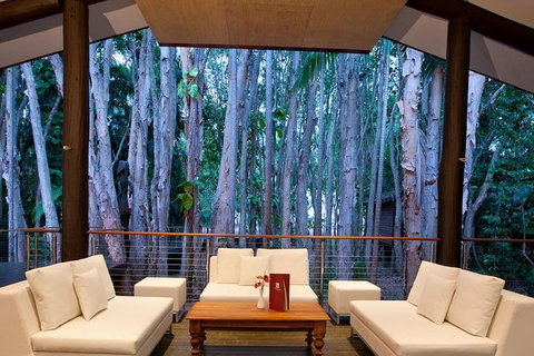 Airport Transfer - Cairns Airport To Palm Cove, Kewarra & Trinity Beaches - Accommodation Guide 2