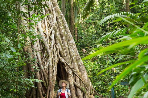 Rainforest To Reef Experience - Reef And Beyond Guided Holidays - Accommodation Asia 2