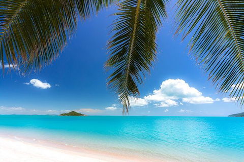Rainforest To Reef Experience - Reef And Beyond Guided Holidays - Accommodation Asia 1