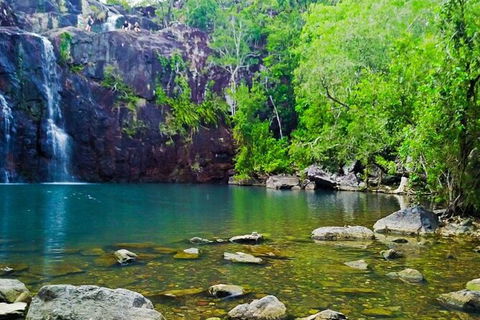 Rainforest To Reef Experience - Reef And Beyond Guided Holidays - Accommodation Asia 5