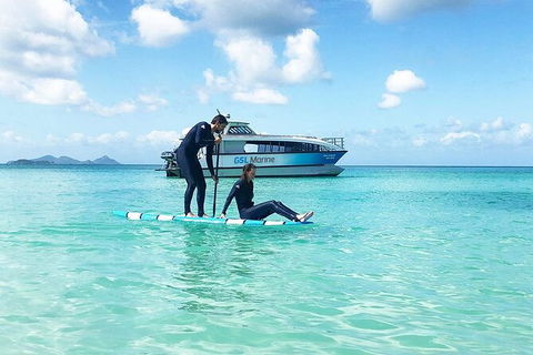 Rainforest To Reef Experience - Reef And Beyond Guided Holidays - Accommodation Asia 3