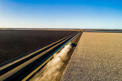 Discover Farming In Goondiwindi - Accommodation Asia 1