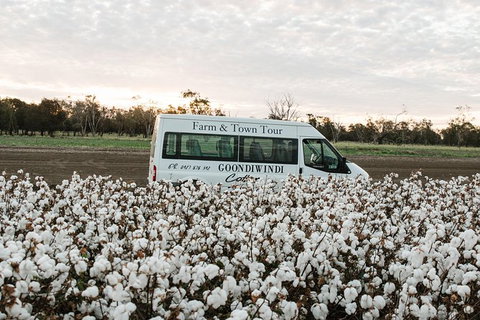 Discover Farming In Goondiwindi - Accommodation Asia 8