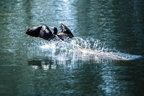 Discover Farming In Goondiwindi - Accommodation Asia 5