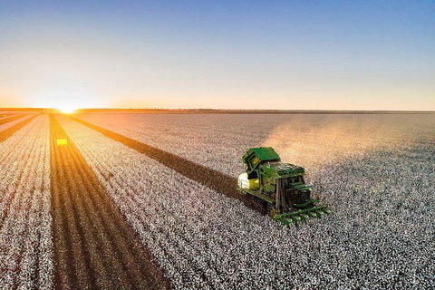 Discover Farming In Goondiwindi - Accommodation Asia 7