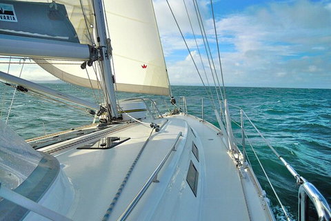 Sailing Curlew Escape On Moreton Bay - Accommodation Asia 7