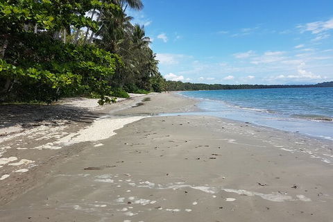 Private Transfers - Cairns Airport To Palm Cove - Accommodation China 1