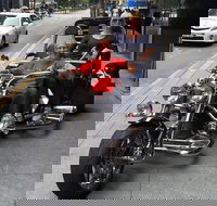 Unique vehicle tour around Brisbane - Accommodation China