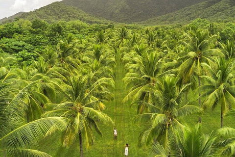 SHUTTLE - Thala Beach And Turtle Cove From Port Douglas (Return Transfer) - Accommodation Asia 1