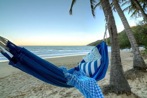 SHUTTLE - Thala Beach And Turtle Cove From Port Douglas (Return Transfer) - Accommodation Asia 3