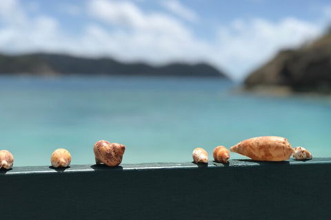 7-Day Private Sea Kayaking In Whitsundays - Accommodation Asia 1