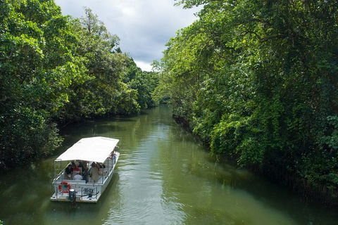 World Heritage Highlights: Reef/Daintree/Cape Tribulation - Accommodation China 1