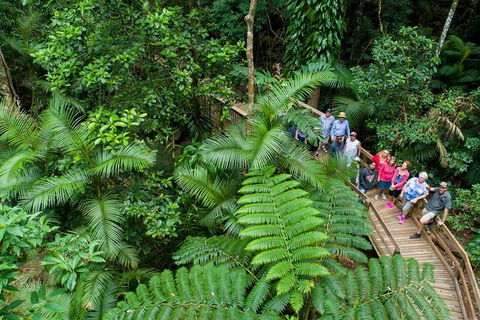 World Heritage Highlights: Reef/Daintree/Cape Tribulation - Accommodation China 3