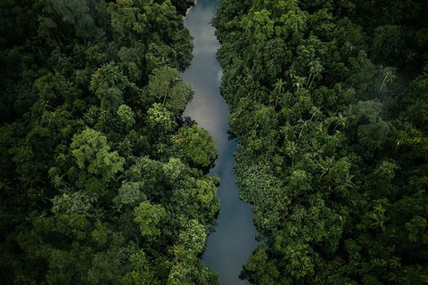 World Heritage Highlights: Reef/Daintree/Cape Tribulation - Accommodation China 10