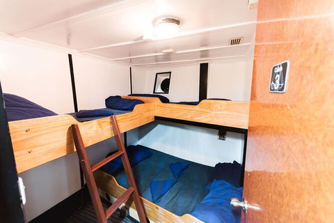 2 Night Whitsunday Islands Cruise On Atlantic Clipper From Airlie Beach - Accommodation Guide 1