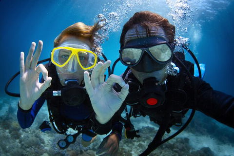 2 Night Whitsunday Islands Cruise On Atlantic Clipper From Airlie Beach - Accommodation Guide 4