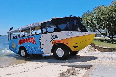 Aquaduck Gold Coast & IFLY - Accommodation Asia 0