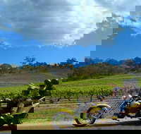 Unique Trike Barossa Valley Half Day Private Tour For 2 - Accommodation China