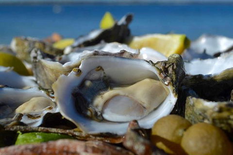 Coffin Bay Oysters, Ocean & Nature Tour - Accommodation China 8
