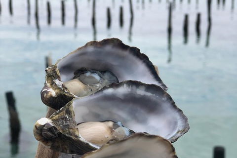 Coffin Bay Oysters, Ocean & Nature Tour - Accommodation China 6