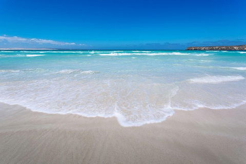 Coffin Bay Oysters, Ocean & Nature Tour - Accommodation China 14