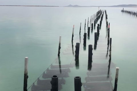Coffin Bay Oysters, Ocean & Nature Tour - Accommodation China 15