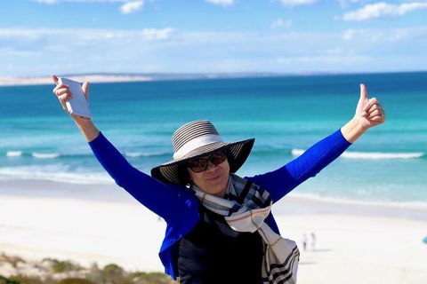 Coffin Bay Oysters, Ocean & Nature Tour - Accommodation China 11